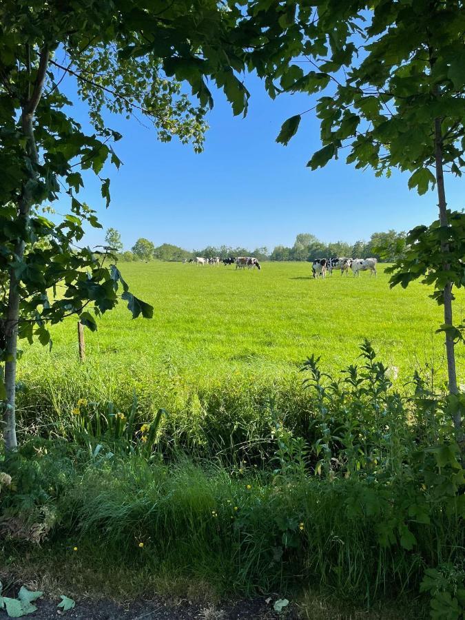 B&B Ut En Thus Sweagerbosk Buitenkant foto