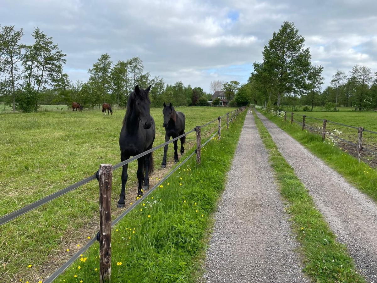 B&B Ut En Thus Sweagerbosk Buitenkant foto