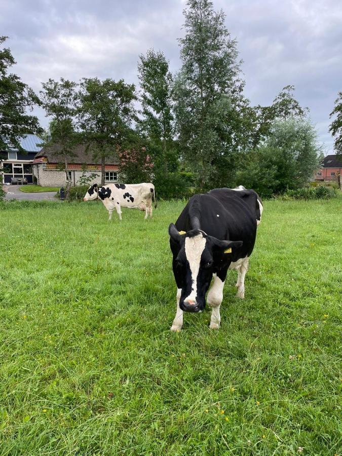 B&B Ut En Thus Sweagerbosk Buitenkant foto